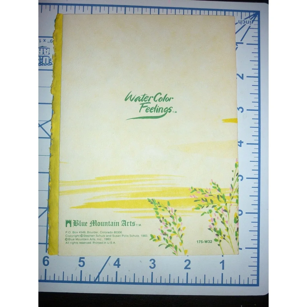Blue Mountain‎ Arts Watercolor Feelings Greeting Card Friendship 1983